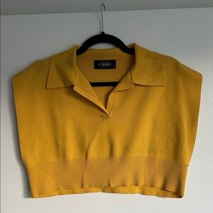 Cider Golden Yellow Collared Knit Vest